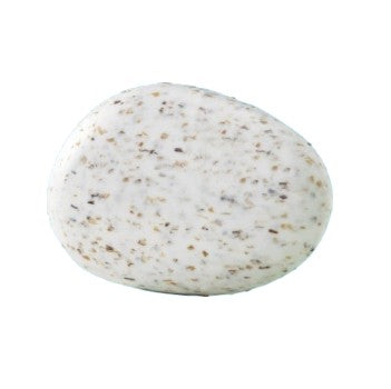 Savon exfoliant aux algues